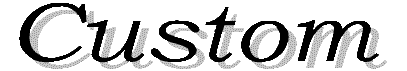 ../Custom.gif (3497 bytes)